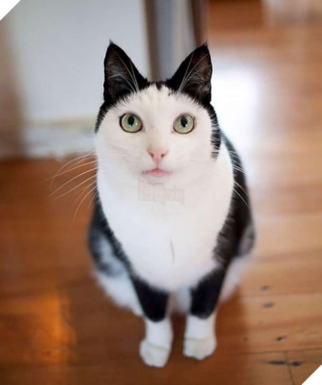 Kẻ mắt dưới tạo điểm nhấn: Duyệt, môi chúm chím màu sen đào: Duyệt. Thiếu mỗi cặp chân mày nữa thôi...