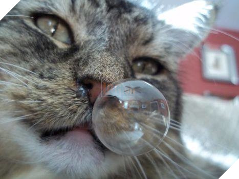 Cười té ghế các khoảnh khắc khi hoàng thượng bị sổ mũi