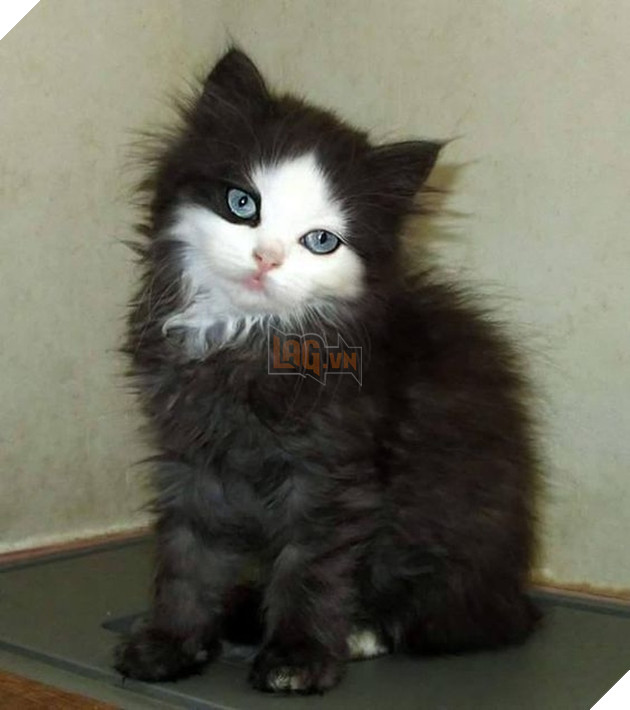 Minh chứng rõ ràng nhất của các cô gái sau một đêm thác loạn.