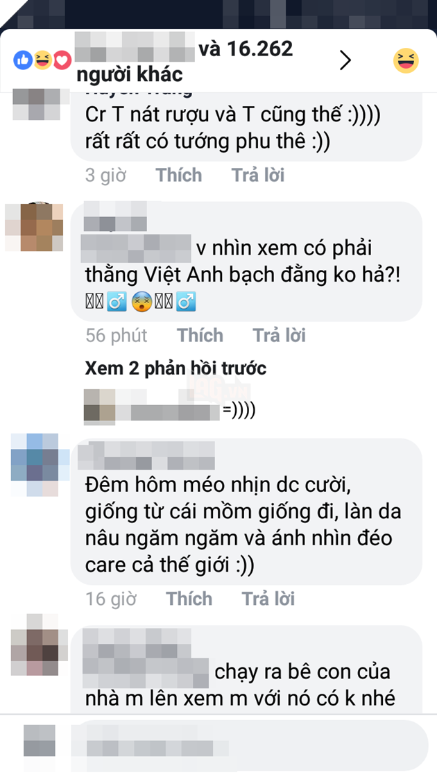 
Dân mạng nhanh chóng để lại những bình luận thích thú - Ảnh: Chụp màn hình