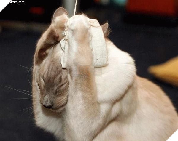 
"Im đi dùm tôi cái!!!"