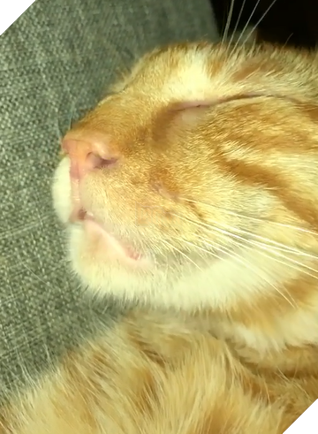 
Đâu hề hay biết rằng con sen đang dìm hàng mình