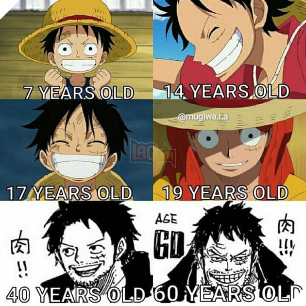 One Piece: Thời gian không tha một ai dù có là Vua Hải Tặc, loạt fanart Luffy phiên bản bô lão sẽ chứng minh điều này - Ảnh 4.