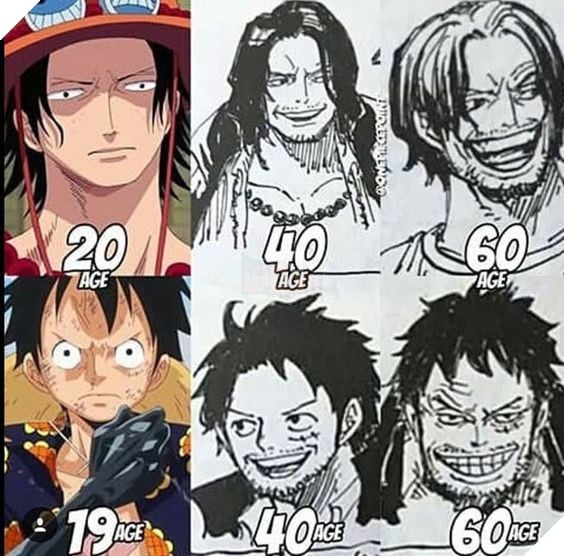 One Piece: Thời gian không tha một ai dù có là Vua Hải Tặc, loạt fanart Luffy phiên bản bô lão sẽ chứng minh điều này - Ảnh 1.