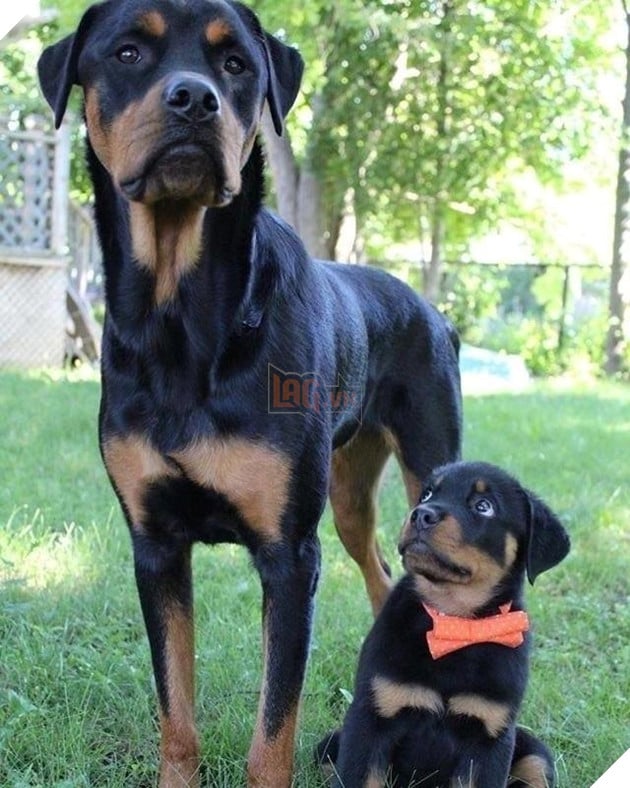 
"Đây là bố con thật đấy ạ?..."