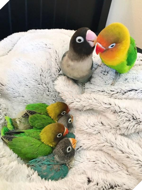 26 5b4b097edb927 700