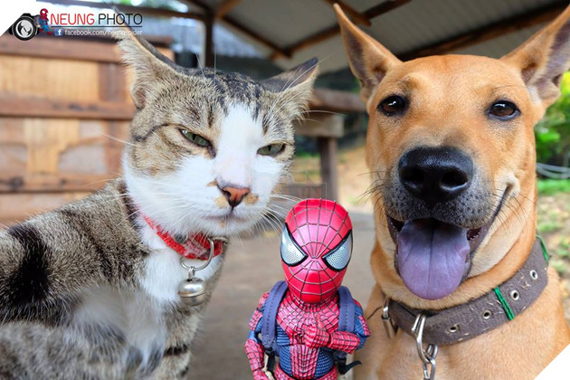 Khi Spider-Man tí hon chiến đấu bảo vệ thế giới với nhóm Siêu Anh Hùng Thú Cưng 4