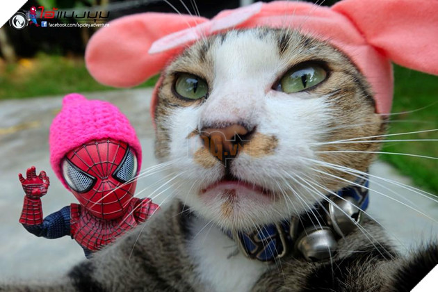 Khi Spider-Man tí hon chiến đấu bảo vệ thế giới với nhóm Siêu Anh Hùng Thú Cưng 12