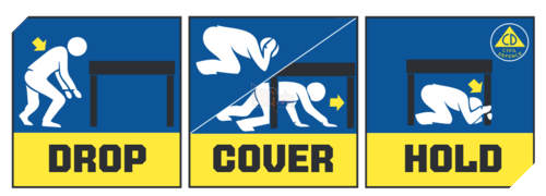 Lam gi de song sot trong mot tran dong dat? hinh anh 3