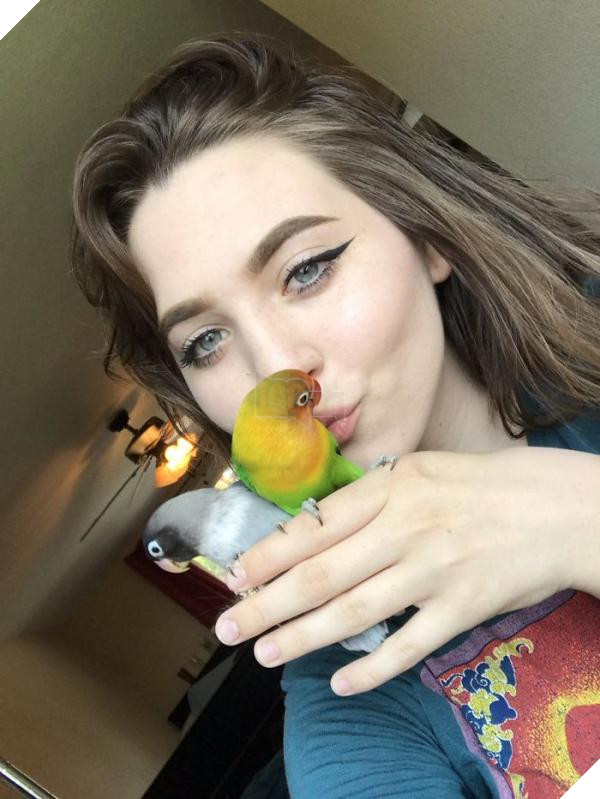 the internet fell in love with the story of the parakeet and his gothic girlfriend not to mention the children who came after wonderful 5b4d92b7a1b4a 700