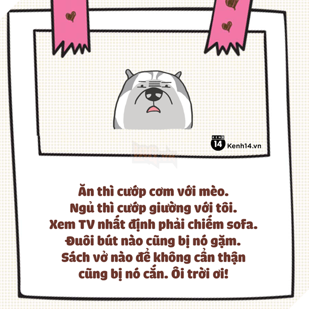 Nuôi thú cưng thì vui nhưng vớ phải một em bị ngố tàu thì dở khóc dở cười đấy - Ảnh 3.