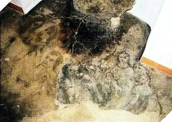 Image may contain: ultrasound