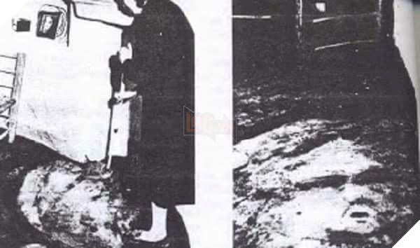 No automatic alt text available.