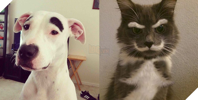 Bộ dạng của 10 con boss này chính là minh chứng cho câu “Tạo hóa là một trò đùa!”