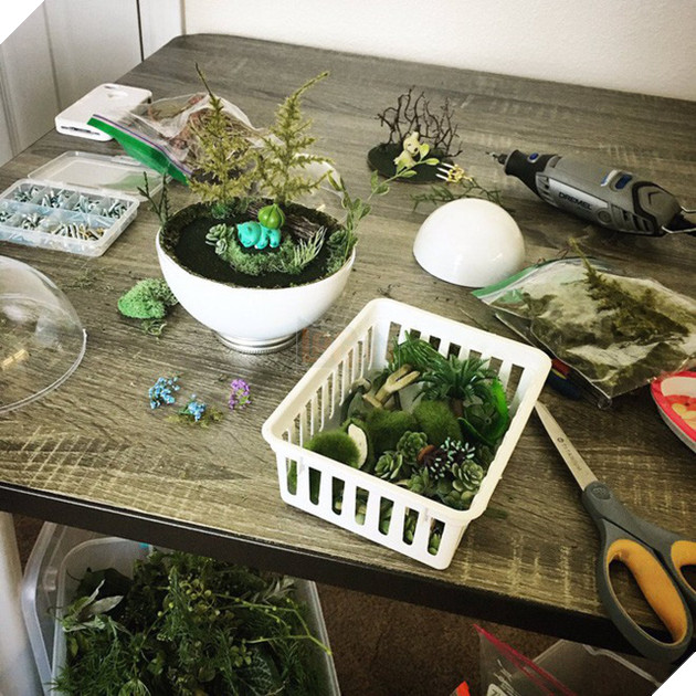 Những khu vườn Pokeball trong lòng bàn tay khiến fan ruột Pokemon thích mê từ cái nhìn đầu tiên - Ảnh 9.