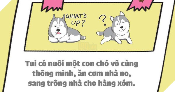 Nuôi thú cưng thì vui nhưng vớ phải một em bị ngố tàu thì dở khóc dở cười đấy