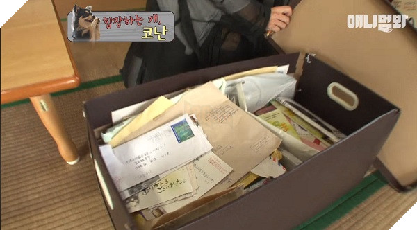 Chắp chân cầu nguyện trước tượng Phật mỗi ngày, chú chó Hàn Quốc nổi tiếng thế giới-5