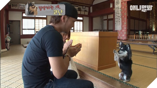 Chắp chân cầu nguyện trước tượng Phật mỗi ngày, chú chó Hàn Quốc nổi tiếng thế giới-6