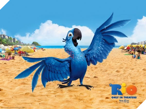 Tin buồn: Vẹt xanh đuôi dài của loạt phim hoạt hình ‘Rio’ chính thức tuyệt chủng