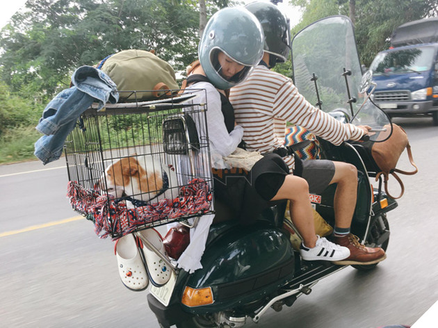 Ch&#224;ng trai S&#224;i G&#242;n chế lồng tr&#234;n xe Vespa cho th&#250; cưng đi &quot;phượt&quot; đ&#227; đời - Ảnh 1.