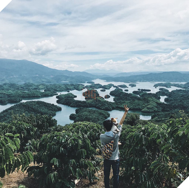 Ch&#224;ng trai S&#224;i G&#242;n chế lồng tr&#234;n xe Vespa cho th&#250; cưng đi &quot;phượt&quot; đ&#227; đời - Ảnh 2.