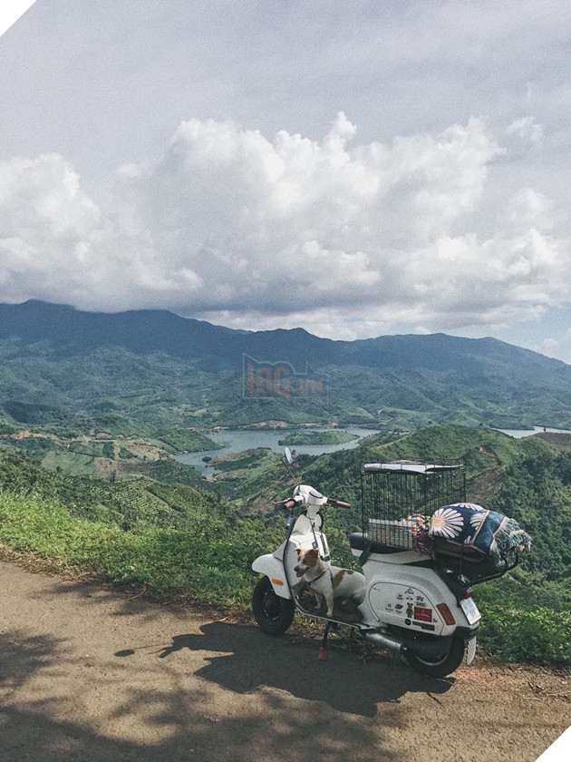 Chàng trai Sài Gòn chế lồng trên xe Vespa cho thú cưng đi phượt đã đời - Ảnh 3.