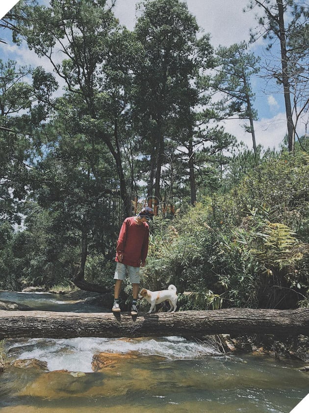 Ch&#224;ng trai S&#224;i G&#242;n chế lồng tr&#234;n xe Vespa cho th&#250; cưng đi &quot;phượt&quot; đ&#227; đời - Ảnh 2.