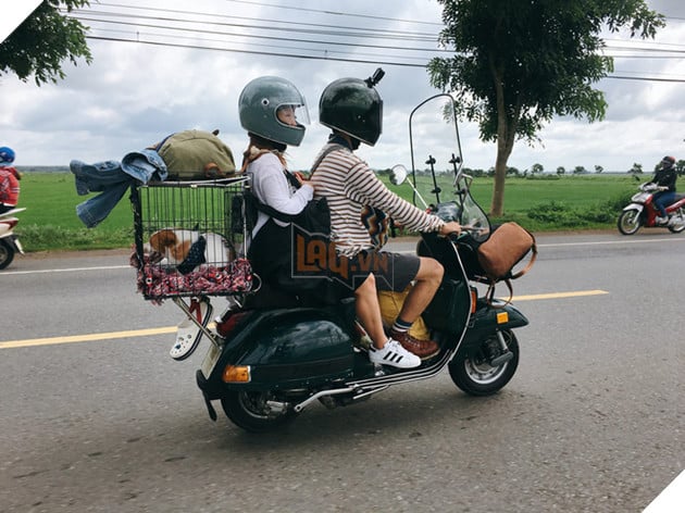 Ch&#224;ng trai S&#224;i G&#242;n chế lồng tr&#234;n xe Vespa cho th&#250; cưng đi &quot;phượt&quot; đ&#227; đời - Ảnh 1.
