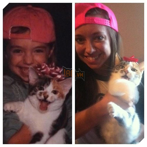 Tròn xoe mắt trước loạt ảnh “dậy thì thành công” đến ngỡ ngàng của thú cưng - Ảnh 6.