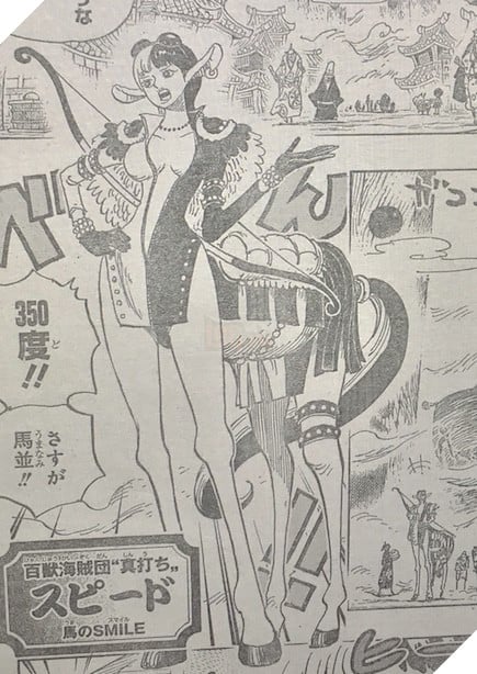 Spoiler One Piece 917: Nhân mã gợi cảm xuất hiện - Luffy một đấm hạ gục tướng quân mặt người bụng sư tử của Kaido - Ảnh 2.