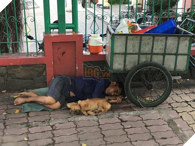 
Hình ảnh chú chó nằm ngủ cạnh người chủ nghèo trên vỉa hè khiến nhiều người nghẹn ngào - Ảnh: FB Quang Thang