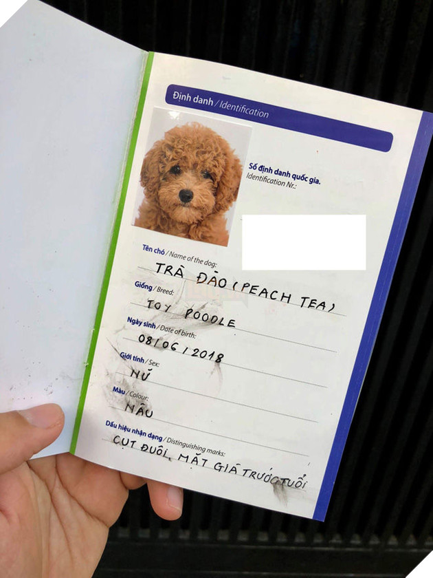 
Chó cũng cần sổ định danh, có cả giới tính và dấu hiệu nhận dạng - thật hài hước.