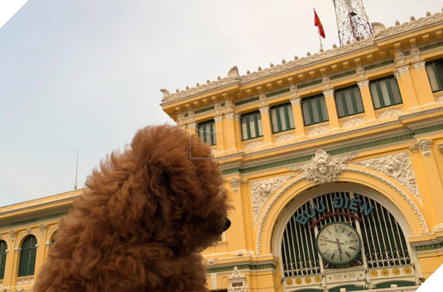 
Góc nghiêng không thần thánh của Đào.