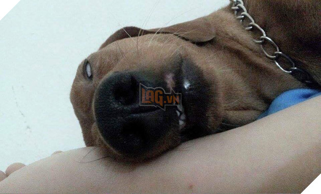 Góc bóc phốt: Lỡ ngủ khi sen còn thức, hàng loạt boss bị tung ảnh dìm hàng không thương tiếc - Ảnh 1.