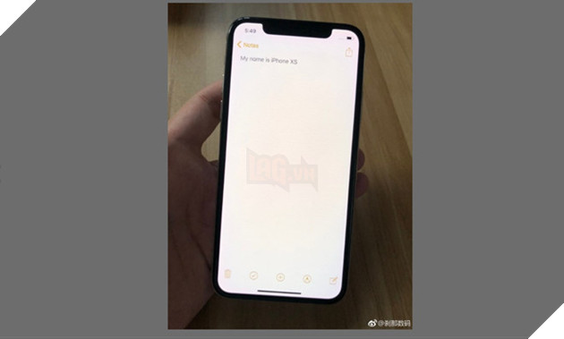 iPhone XC lo anh truoc ngay ra mat hinh anh 2
