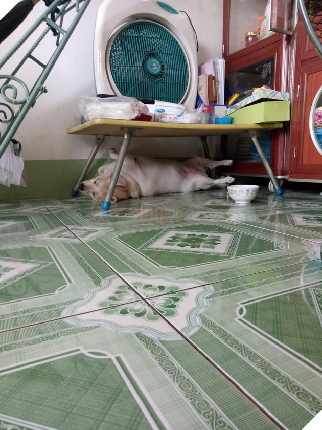 Góc bóc phốt: Lỡ ngủ khi sen còn thức, hàng loạt boss bị tung ảnh dìm hàng không thương tiếc - Ảnh 12.