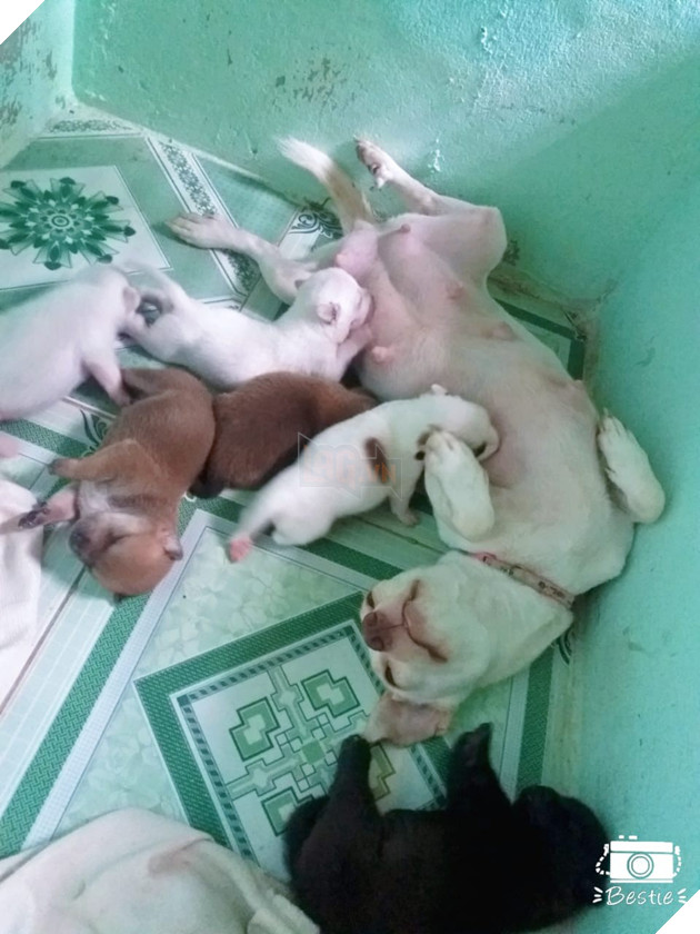 Góc bóc phốt: Lỡ ngủ khi sen còn thức, hàng loạt boss bị tung ảnh dìm hàng không thương tiếc - Ảnh 13.