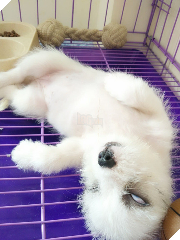 Góc bóc phốt: Lỡ ngủ khi sen còn thức, hàng loạt boss bị tung ảnh dìm hàng không thương tiếc - Ảnh 2.