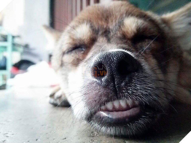 Góc bóc phốt: Lỡ ngủ khi sen còn thức, hàng loạt boss bị tung ảnh dìm hàng không thương tiếc - Ảnh 11.