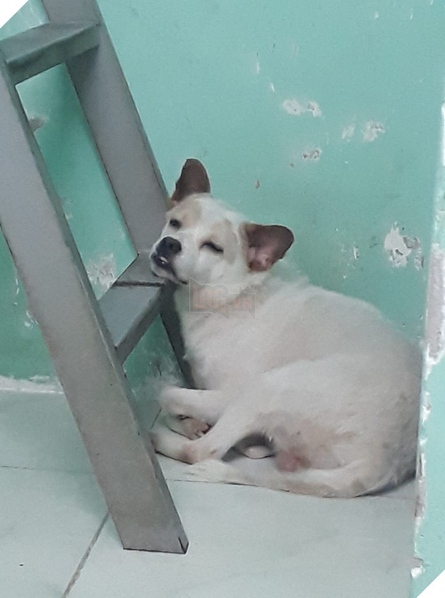 Góc bóc phốt: Lỡ ngủ khi sen còn thức, hàng loạt boss bị tung ảnh dìm hàng không thương tiếc - Ảnh 5.