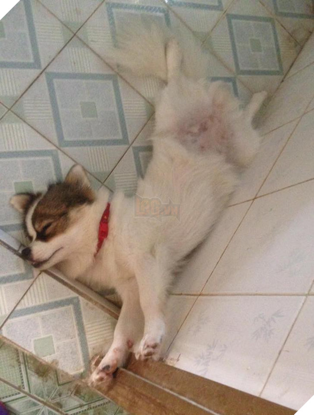 Góc bóc phốt: Lỡ ngủ khi sen còn thức, hàng loạt boss bị tung ảnh dìm hàng không thương tiếc - Ảnh 7.