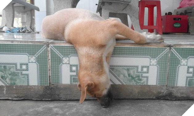 Góc bóc phốt: Lỡ ngủ khi sen còn thức, hàng loạt boss bị tung ảnh dìm hàng không thương tiếc - Ảnh 8.