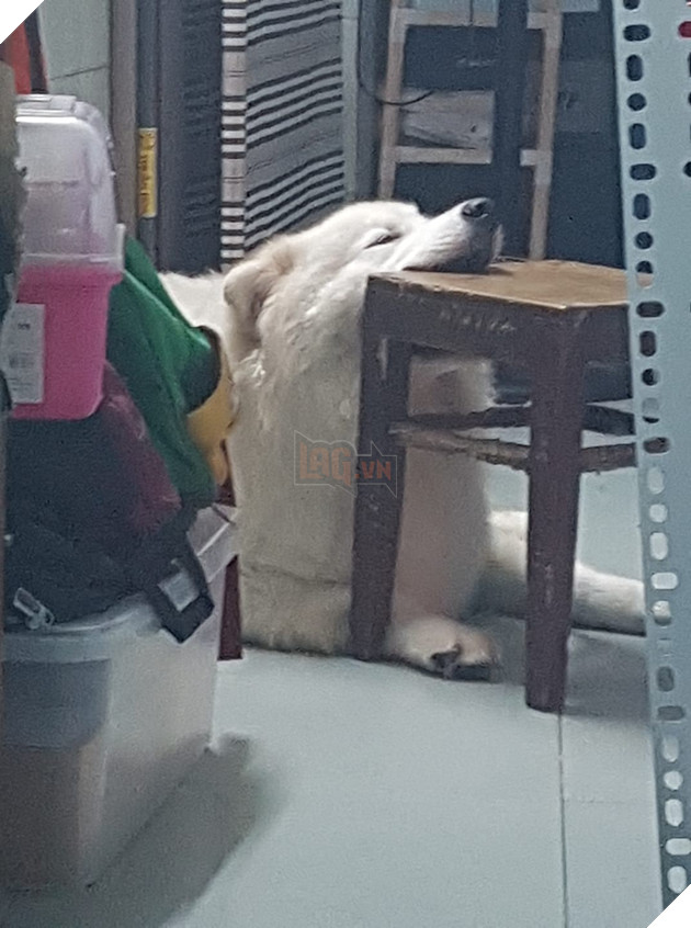 Góc bóc phốt: Lỡ ngủ khi sen còn thức, hàng loạt boss bị tung ảnh dìm hàng không thương tiếc - Ảnh 4.