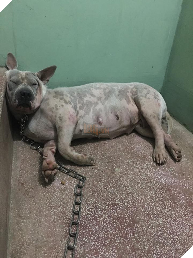 Góc bóc phốt: Lỡ ngủ khi sen còn thức, hàng loạt boss bị tung ảnh dìm hàng không thương tiếc - Ảnh 9.