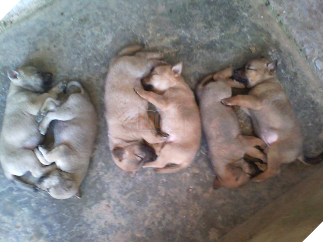 Góc bóc phốt: Lỡ ngủ khi sen còn thức, hàng loạt boss bị tung ảnh dìm hàng không thương tiếc - Ảnh 14.