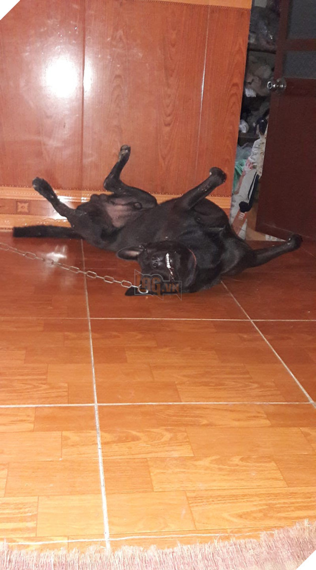 Góc bóc phốt: Lỡ ngủ khi sen còn thức, hàng loạt boss bị tung ảnh dìm hàng không thương tiếc - Ảnh 15.