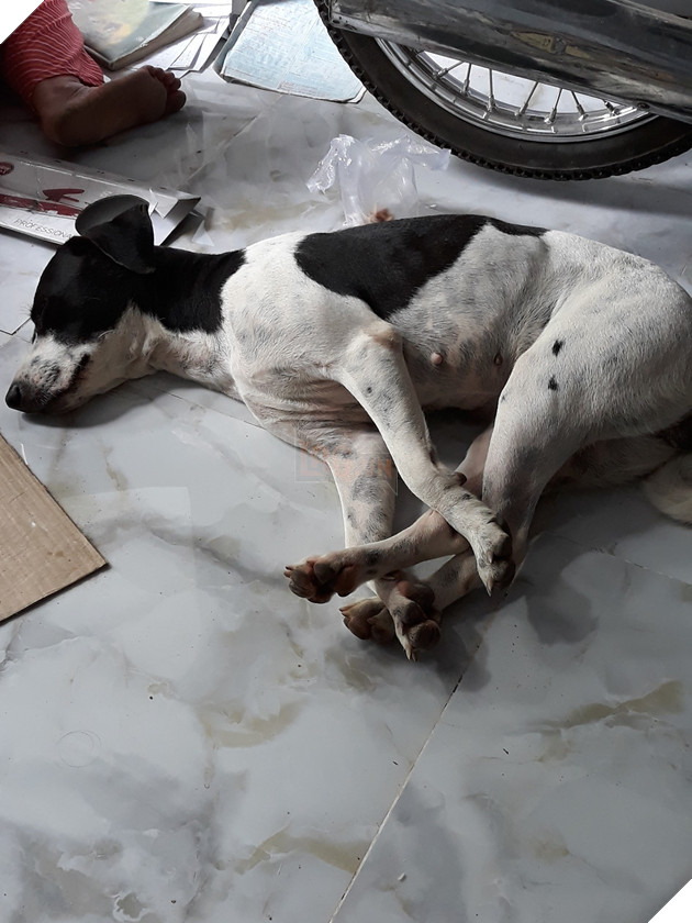 Góc bóc phốt: Lỡ ngủ khi sen còn thức, hàng loạt boss bị tung ảnh dìm hàng không thương tiếc - Ảnh 16.