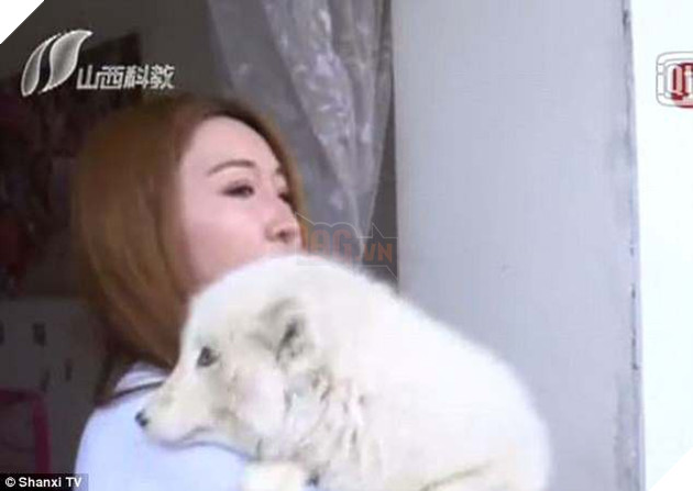 Nuôi dưỡng cả năm trời, người phụ nữ bất ngờ phát hiện ra con chó của mình là cáo hoang - Ảnh 5.