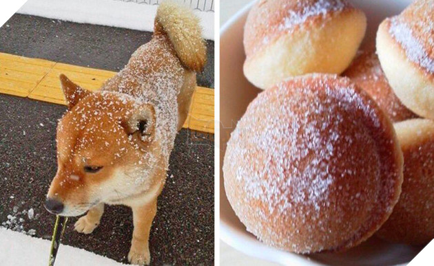 
Nhìn xem có giống cái bánh không nào?