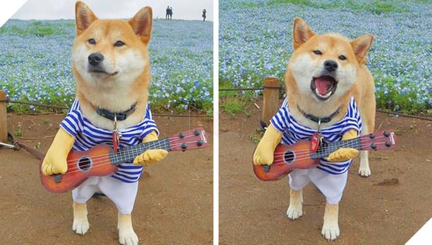 
Rất ra dáng "nghệ sĩ"!